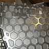 DSCF3096
